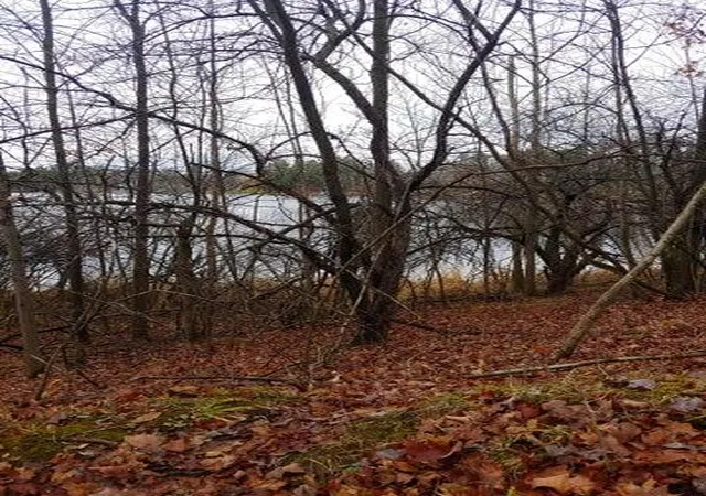 Photo 3 of Land for sale at 23045 Miramichi Dr, Evart, MI 49631 | MLS# 70555671 | Listing updated on 2026-08-30