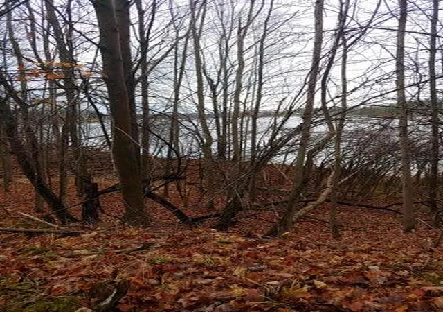 Photo 3 of Land for sale at 23045 Miramichi Dr, Evart, MI 49631 | MLS# 70555671 | Listing updated on 2026-08-30