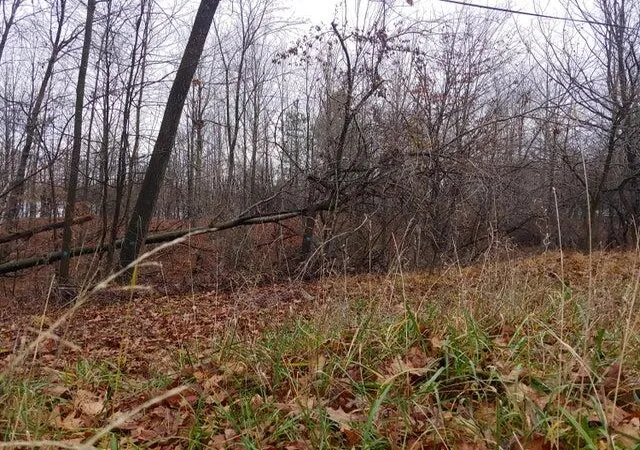 Photo 4 of Land for sale at 23045 Miramichi Dr, Evart, MI 49631 | MLS# 70555671 | Listing updated on 2026-08-30