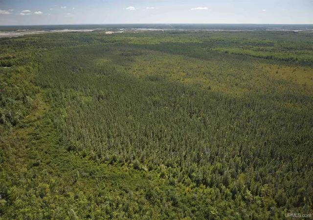 4th image of Tbd 120 Acres Us Hwy 2 Hwy, Germfask, MI 49836 | MLS# 50219676