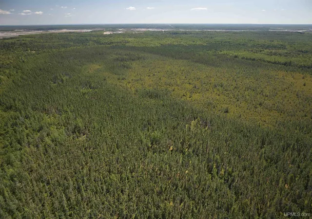 5th image of Tbd 120 Acres Us Hwy 2 Hwy, Germfask, MI 49836 | MLS# 50219676
