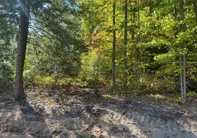 3rd image of 4735 Leaning Birch Dr, Traverse City, MI 49685 | MLS# 80069487