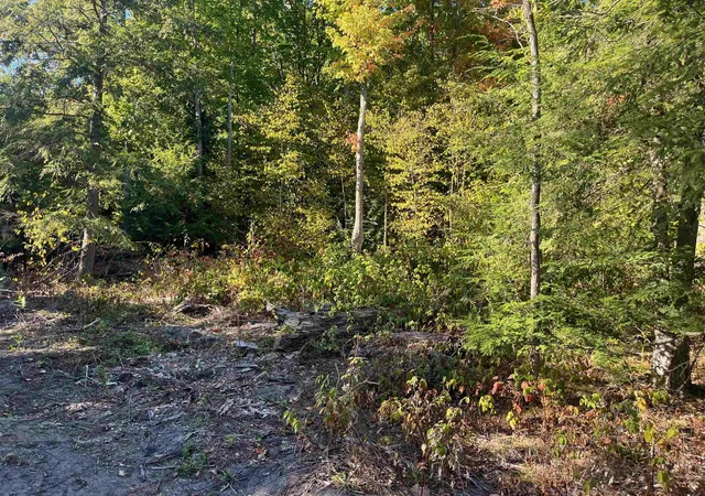 4th image of 4735 Leaning Birch Dr, Traverse City, MI 49685 | MLS# 80069487