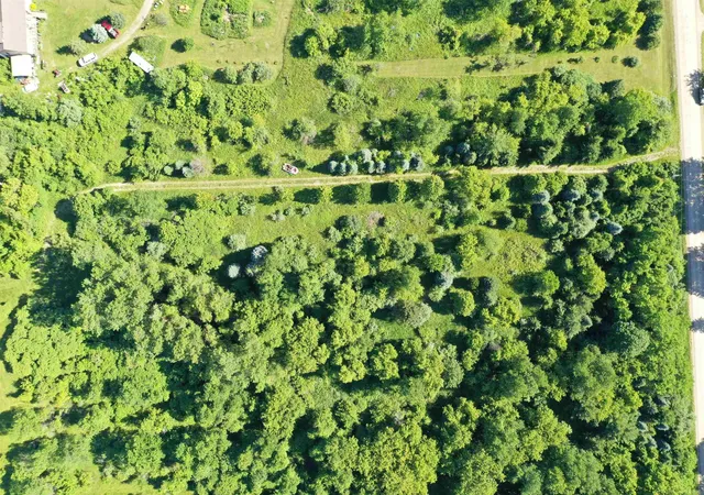 Homes for sale in Lexington, MI | 1vl Babcock Rd, Lexington, MI 48450 | MLS# 50212467