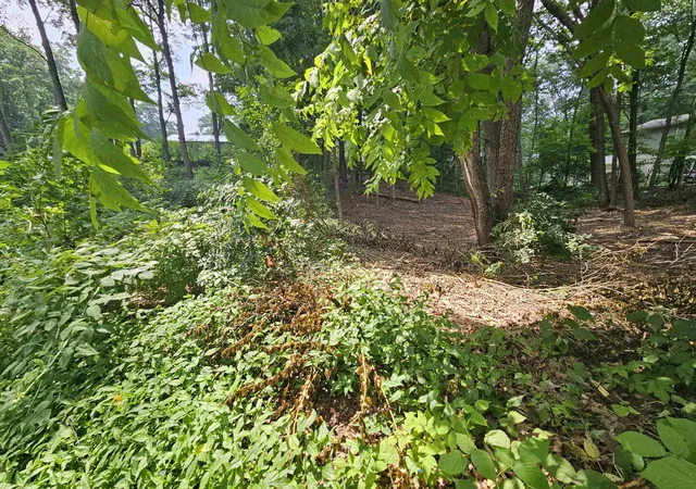 Photo 2 of Land for sale at Lot 36 Lakeview St, Harrison, MI 48625 | MLS# 50203305 | Listing updated on 2026-10-05