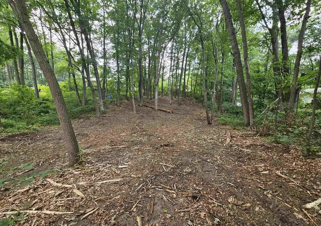 Photo 3 of Land for sale at Lot 36 Lakeview St, Harrison, MI 48625 | MLS# 50203305 | Listing updated on 2026-10-05