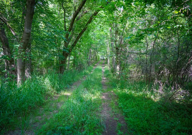 Photo 3 of Land for sale at 5100 Long Lake Rd, Reading, MI 49274 | MLS# 70514888 | Listing updated on 2026-08-09