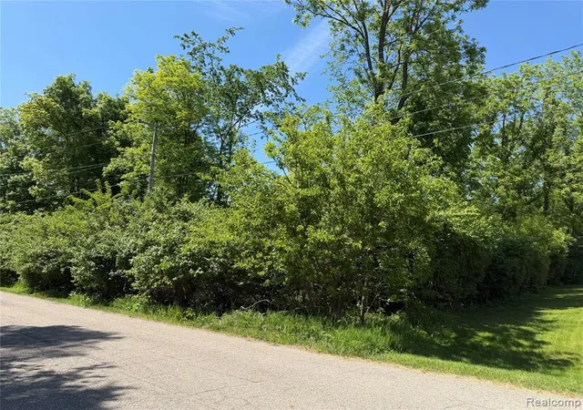 Photo 3 of Land for sale at V/l Claremont Cir, Brooklyn, MI 49230 | MLS# 60997465 | Listing updated on 2026-07-20