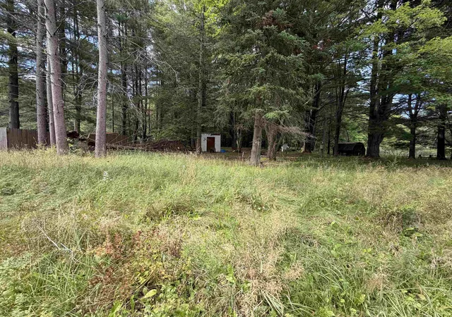 Photo 1 of Land for sale at Tbd Holmes Rd, Lake George, MI 48633 | MLS# 50199039 | Listing updated on 2026-08-25