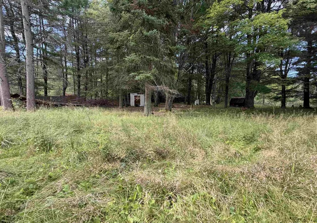 Photo 2 of Land for sale at Tbd Holmes Rd, Lake George, MI 48633 | MLS# 50199039 | Listing updated on 2026-08-25