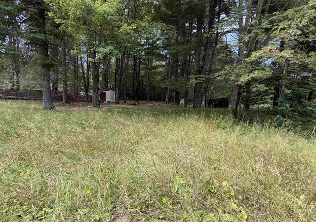 Photo 3 of Land for sale at Tbd Holmes Rd, Lake George, MI 48633 | MLS# 50199039 | Listing updated on 2026-08-25