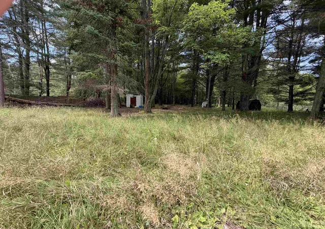 Photo 3 of Land for sale at Tbd Holmes Rd, Lake George, MI 48633 | MLS# 50199039 | Listing updated on 2026-08-25