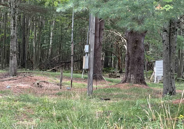Photo 4 of Land for sale at Tbd Holmes Rd, Lake George, MI 48633 | MLS# 50199039 | Listing updated on 2026-08-25