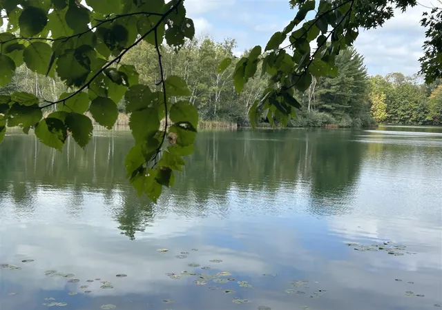 Photo 3 of Land for sale at 8601 North Is Dr, Stanwood, MI 49346 | MLS# 70495206 | Listing updated on 2026-07-13