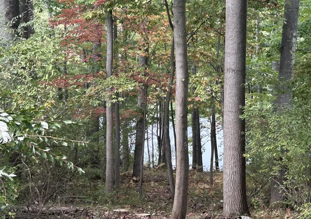 Photo 3 of Land for sale at 8601 North Is Dr, Stanwood, MI 49346 | MLS# 70495206 | Listing updated on 2026-07-13