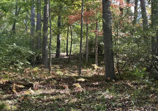 Photo 4 of Land for sale at 8601 North Is Dr, Stanwood, MI 49346 | MLS# 70495206 | Listing updated on 2026-07-13