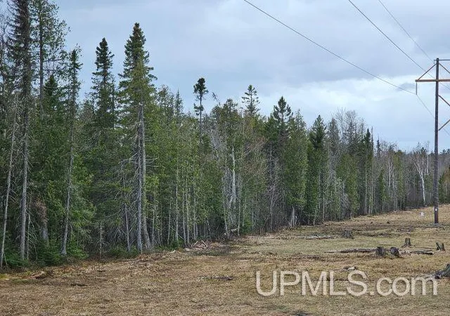 Homes for sale in Ishpeming, MI | 40 Acres Off Co Rd Gx Rd, Ishpeming, MI 49849 | MLS# 50214871