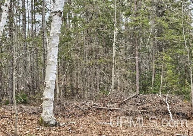 Photo 3 of Sale Pending at 40 Acres Off Co Rd Gx, Ishpeming, MI 49849 | MLS# 50214871 | Listing updated on 2026-08-17