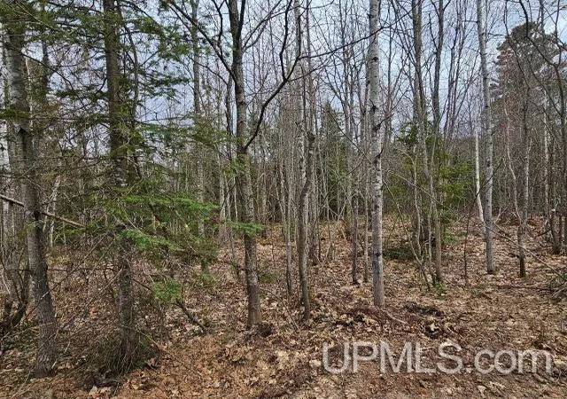 Homes for sale in Ishpeming, MI | 40 Acres Off Co Rd Gx Rd, Ishpeming, MI 49849 | MLS# 50214871