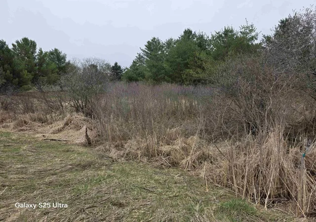 Photo 1 of Land for sale at Lot 551 Hockaday Rd, Gladwin, MI 48624 | MLS# 50196751 | Listing updated on 2026-07-01