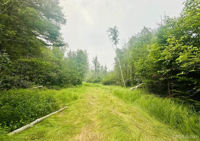 Photo 1 of Sale Pending at Tbd I Rd, Bark River, MI 49807 | MLS# 50214978 | Listing updated on 2026-09-04