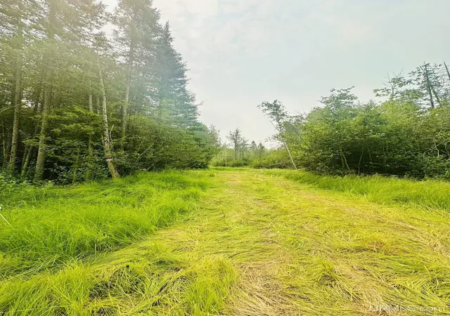 Photo 2 of Sale Pending at Tbd I Rd, Bark River, MI 49807 | MLS# 50214978 | Listing updated on 2026-09-04