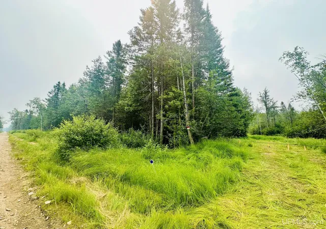 Photo 3 of Sale Pending at Tbd I Rd, Bark River, MI 49807 | MLS# 50214978 | Listing updated on 2026-09-04
