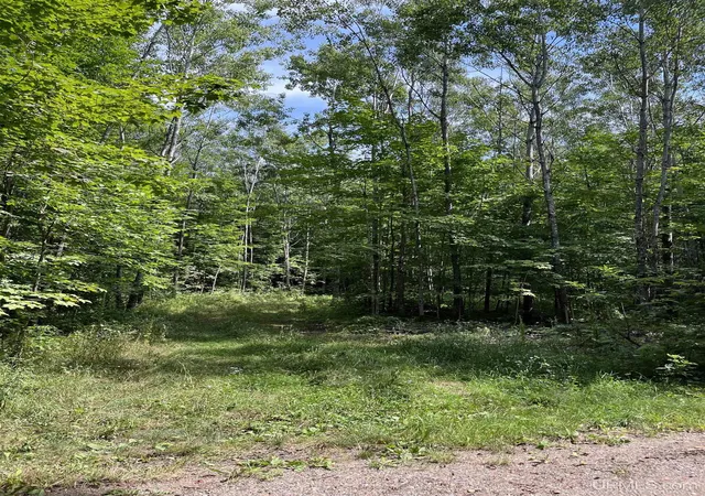 Photo 2 of Land for sale at Lot 3 Mulberry Ln, Florence, WI 54121 | MLS# 50218602 | Listing updated on 2026-08-14
