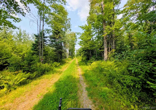 Photo 1 of Land for sale at 160 Acres Camp Gibbs Rd, Iron River, MI 49935 | MLS# 50218808 | Listing updated on 2026-08-17