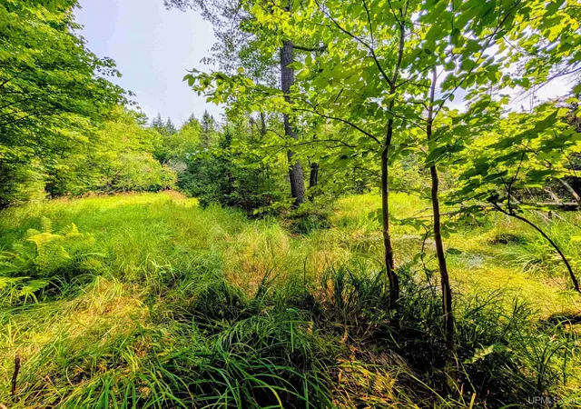 Photo 2 of Land for sale at 160 Acres Camp Gibbs Rd, Iron River, MI 49935 | MLS# 50218808 | Listing updated on 2026-08-17