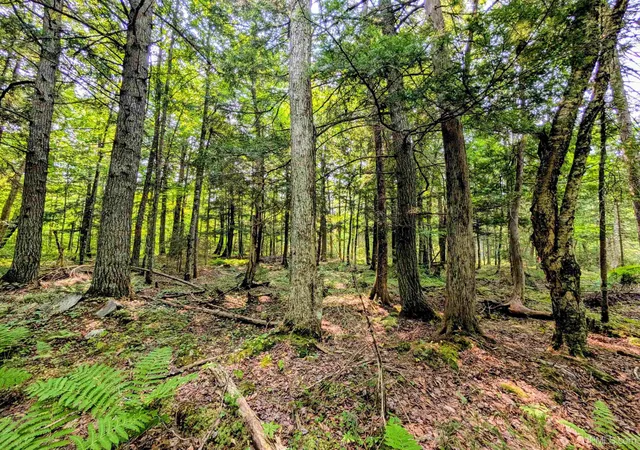 Photo 4 of Land for sale at 160 Acres Camp Gibbs Rd, Iron River, MI 49935 | MLS# 50218808 | Listing updated on 2026-08-17
