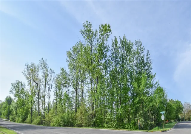 Homes for sale in Coldwater, MI | N Union City Rd, Coldwater, MI 49036 | MLS# 70533235