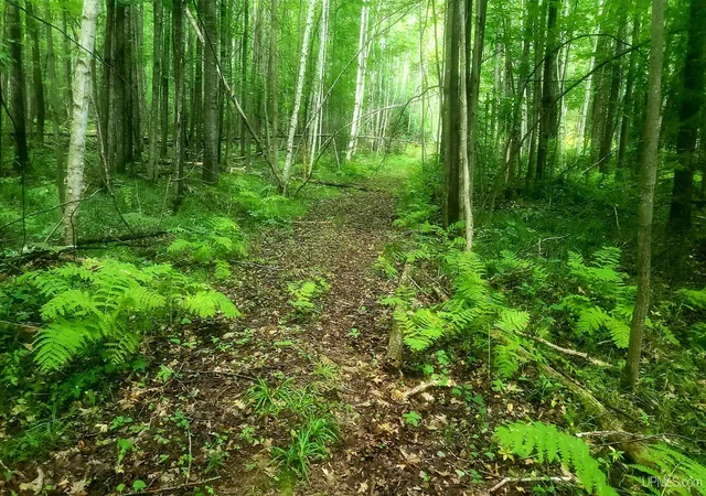 Photo 3 of Land for sale at 3597 Ac Whippoorwill Dr, Dunbar T Wi, WI 54119 | MLS# 50219455 | Listing updated on 2026-08-21
