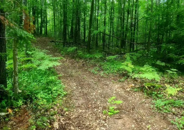 Photo 4 of Land for sale at 3597 Ac Whippoorwill Dr, Dunbar T Wi, WI 54119 | MLS# 50219455 | Listing updated on 2026-08-21