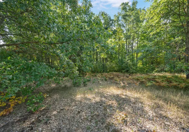 Homes for sale in Big Rapids, MI | Lot 8 University Club Dr, Big Rapids, MI 49307 | MLS# 70495272