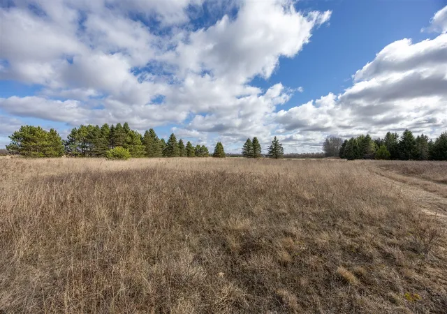 Photo 3 of Land for sale at 8637 Midstate Dr, Mecosta, MI 49332 | MLS# 70457862 | Listing updated on 2026-02-25