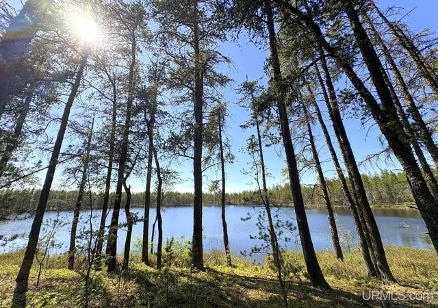 Photo 1 of Land for sale at Tbd County Road Eb Road, Gwinn, MI 49841 | MLS# 50219909 | Listing updated on 2026-08-26