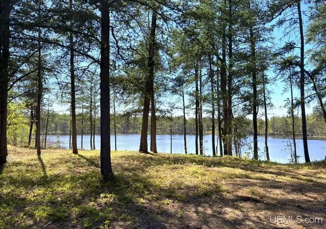 Photo 2 of Land for sale at Tbd County Road Eb Road, Gwinn, MI 49841 | MLS# 50219909 | Listing updated on 2026-08-26