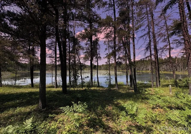 Photo 4 of Land for sale at Tbd County Road Eb Road, Gwinn, MI 49841 | MLS# 50219909 | Listing updated on 2026-08-26