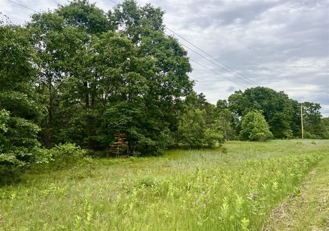 Land for sale at V/l Whitehall Rd, Whitehall, MI 49461 | MLS# 70542166