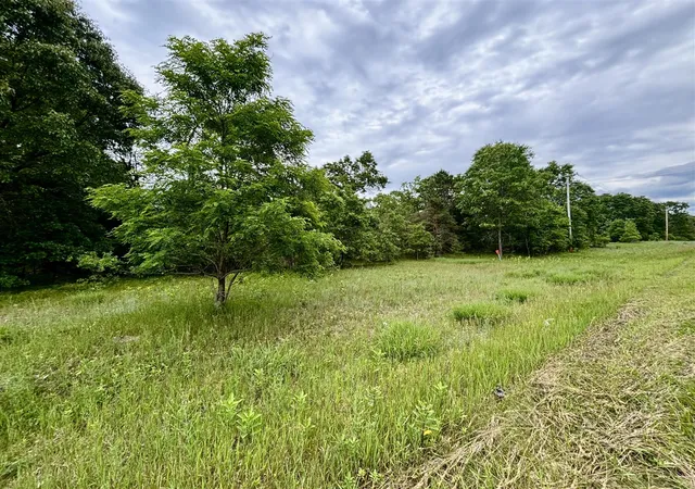 Photo 3 of Land for sale at V/l Whitehall Rd, Whitehall, MI 49461 | MLS# 70542166 | Listing updated on 2026-07-06