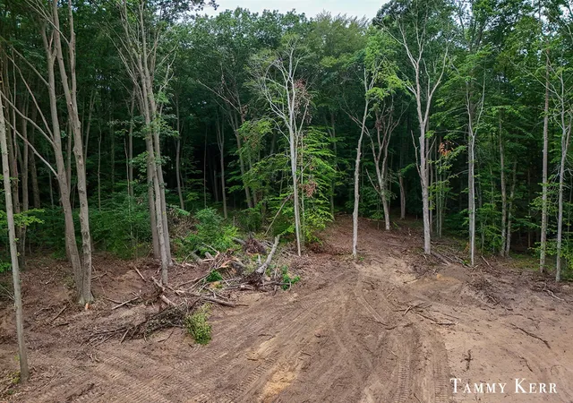 Photo 2 of Land for sale at 63rd Street, Saugatuck, MI 49453 | MLS# 70545661 | Listing updated on 2026-07-24