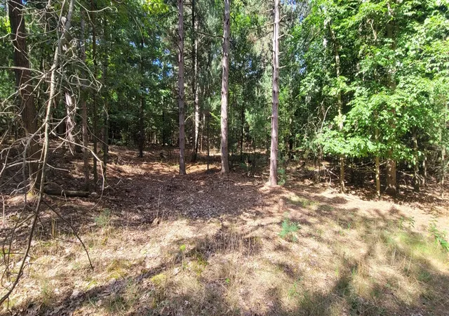Photo 2 of Land for sale at S 32nd Avenue, Shelby, MI 49455 | MLS# 70537316 | Listing updated on 2026-06-25