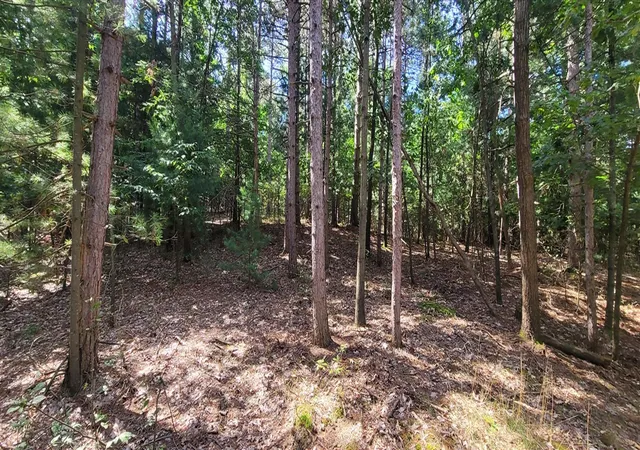 Photo 3 of Land for sale at S 32nd Avenue, Shelby, MI 49455 | MLS# 70537316 | Listing updated on 2026-06-25