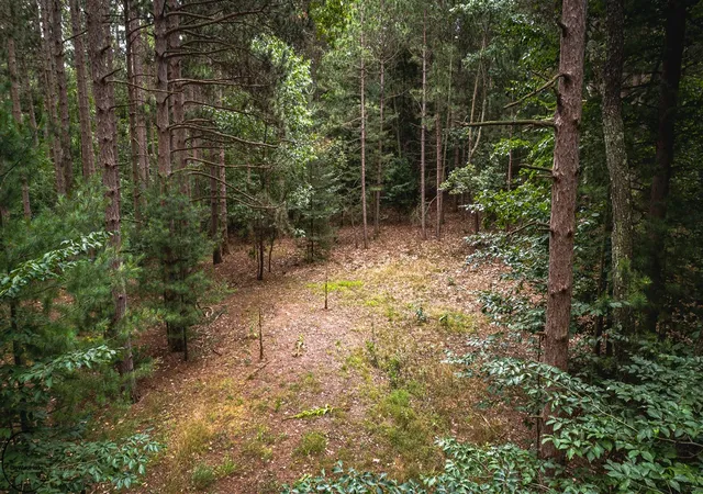 Photo 4 of Land for sale at S 32nd Avenue, Shelby, MI 49455 | MLS# 70537316 | Listing updated on 2026-06-25