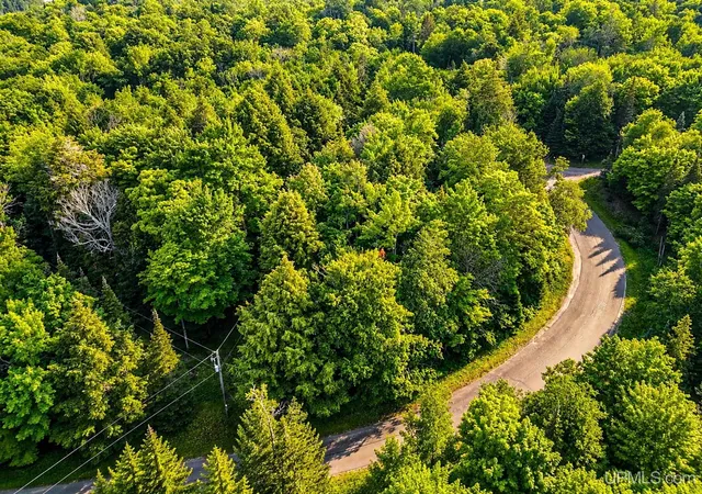 Homes for sale in Marenisco, MI | Lot 4 Stateline Lake Rd, Marenisco, MI 49947 | MLS# 50213742