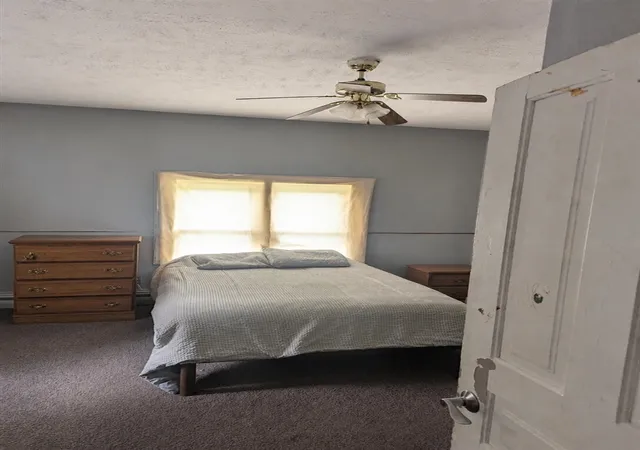 Homes for sale in Greenville, MI | 207 S Barry St, Greenville, MI 48838 | MLS# 70542191