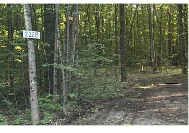 Photo 4 of Land for sale at 2228 Northwoods Dr, Benzonia, MI 49616 | MLS# 80072950 | Listing updated on 2026-08-31