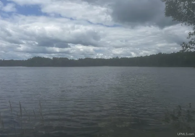 Land for sale at Tbd New York Lake Rd, Vulcan, MI 49892 | MLS# 50215700