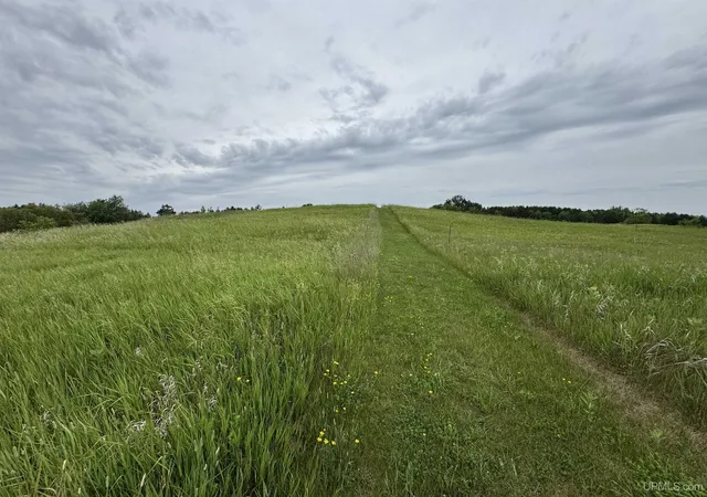 Photo 2 of Land for sale at Tbd New York Lake Rd, Vulcan, MI 49892 | MLS# 50215700 | Listing updated on 2026-07-22